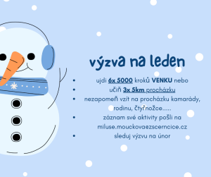 Výzva na leden